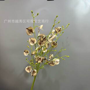 ����3�������mС���m���������m�ҾӔ[���b��ٺ��m����c��