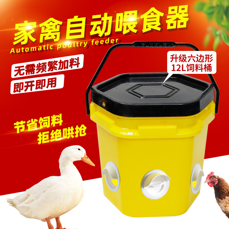 Dispositivo automático de alimentación de aves de corral, tanque de alimentación de pollo, tanque de alimentación anti - dispersión, cubo de alimentación, pájaro, pato, ganso, artefacto de alimentación de pollo image 4