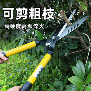 ��ƺ���޼��־G���޼����@������s��֦�@ˇ���ü��ӻ��@�޼�����