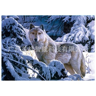 �S��ֱ�N���F؛PET���S�������w��3D/5D��о�b�/�������w��