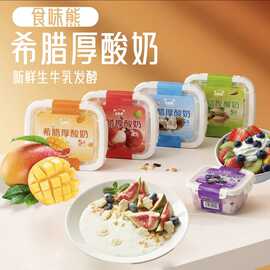 【官方正品】食味熊干噎冷萃酸奶生牛乳发酵2588g口感纯正奶味浓