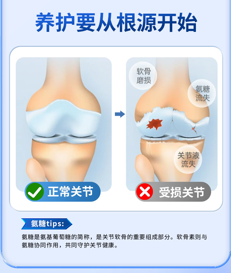 Li Shizhen Bio-Glucosamine Chondroitin Elastic Patch, Mugwort Penetrating Cartilage Patch, Glucosamine Nutritional Patch detail image