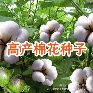 �޻��N�Ӹ߮a���x�����׷N�޻��N�� �����޻��N�� ���������޻���