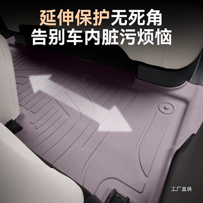 Star Wish Dream Edition/Free Edition/Explore+ – Car Carpet