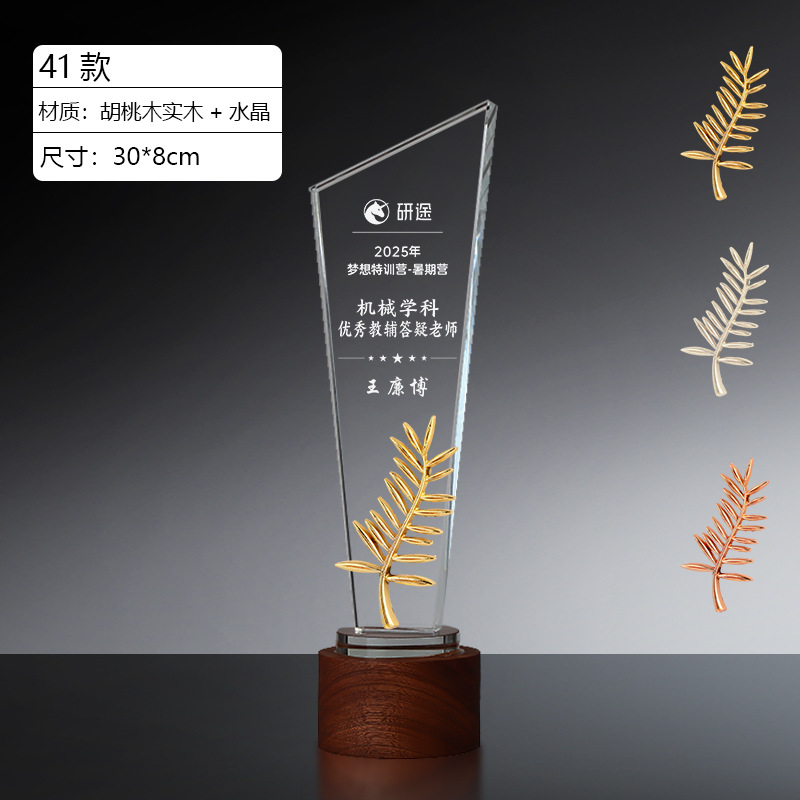 Trofeo de Cristal Personalizado de Cristal Blanco y Nogal para Premios image 47