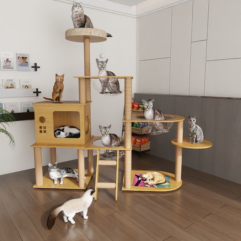 38599c23-6432-4ebf-9bd9-b5393f0d045d.jpe