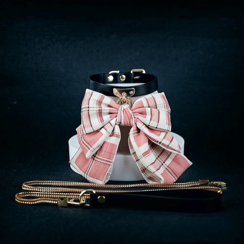 JK suit SM erotic products master-slave training toys anal plug collar leash set couples' sex toys for home use