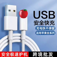 �羳�m���O��USB��䔵����iPhone6s/8/12/13/14܇�d�֙C��늾�3A