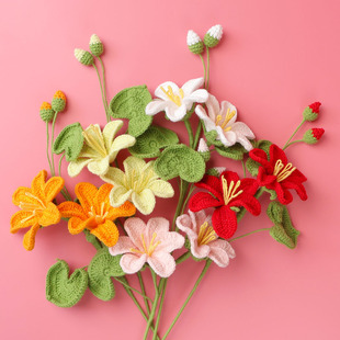 ��Ʒ�ֹ�����ѩ����ͩ�����Ҿӻ�ƿ�廨�[���h�����滨ë�����Y��