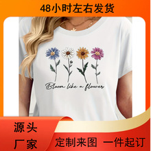 Ůʿӡ��T�� - "�绨��`��" ����A�I���e���£�͸���ļ�������