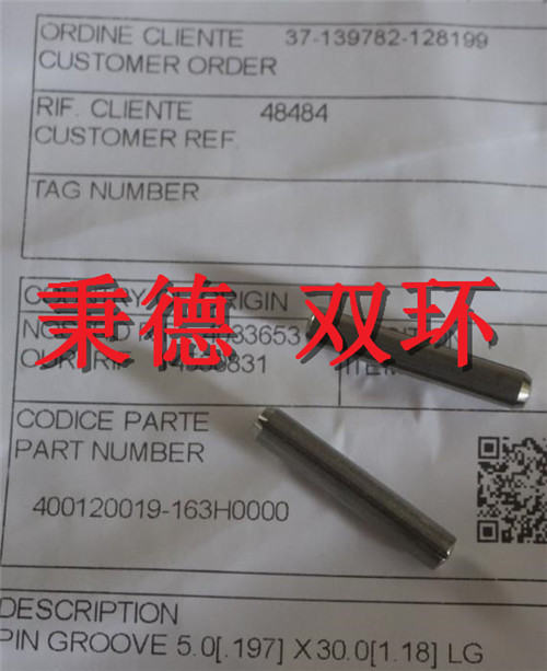 MASONEILAN 销钉 400120019-163H0000