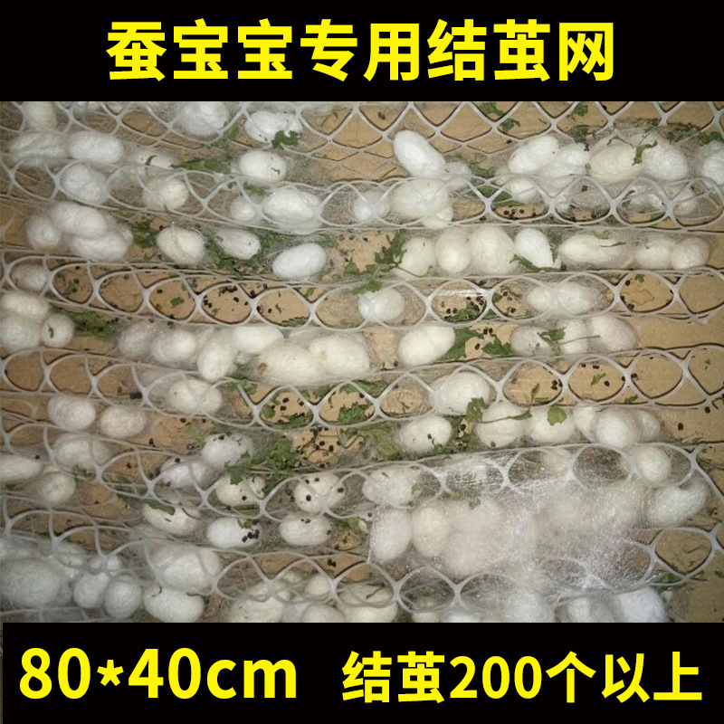 80* 40cm (200개 이상의 누에고치를 만들 수 있음)