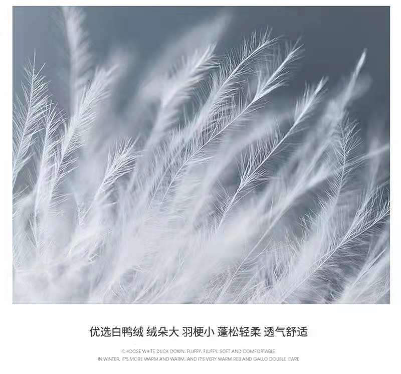 微信图片_20210710105326