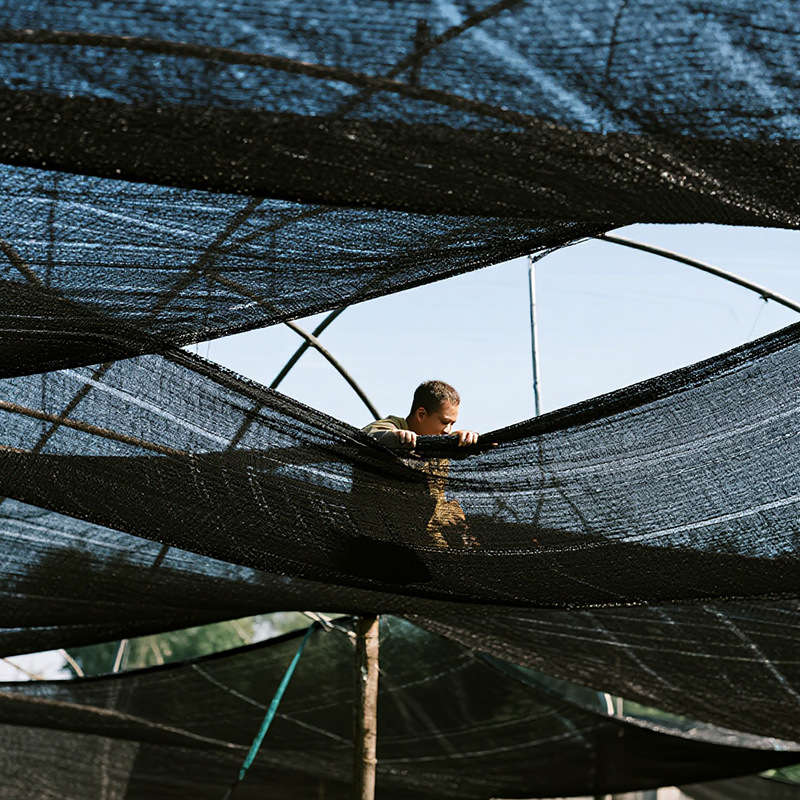 大棚农用遮阴网多肉植物汽车菌菇包边打孔遮阳网防晒网遮光防尘网
