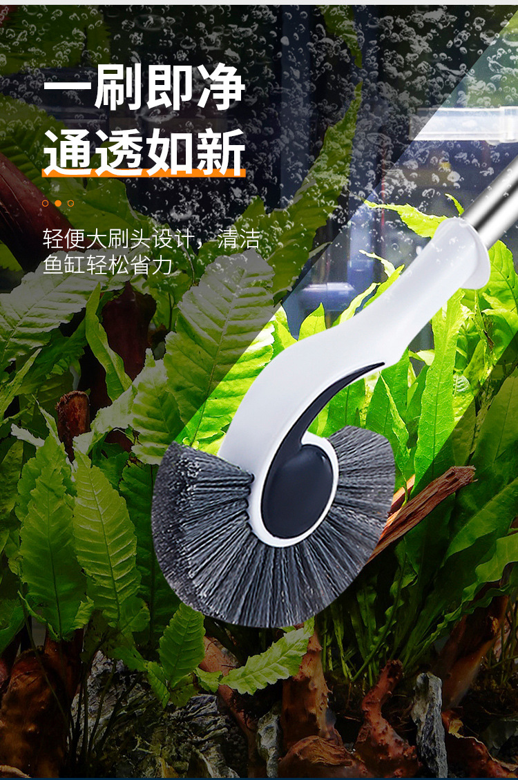 海马刷_05.jpg