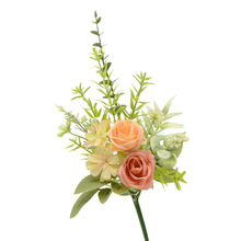 ��Сõ���ȼ�������������INS�L��ɫ�ٻ�������c�YƷ�b��@DIY