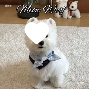 ؈�乷���ɐۿ�ˮ�팙������I�Y����С��Ȯ��ż�{��̩�ϱ����b�