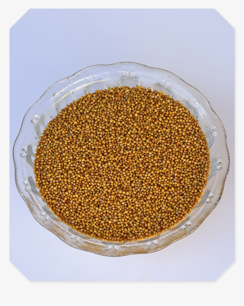 Yellow Mustard Seed 100g Bai Jie Zi Traditional Chinese Herb Culinary Spice Whole Seeds specifications