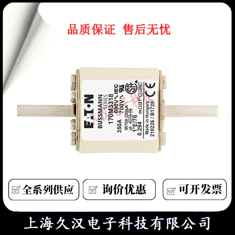170M3318 170M3319 170M3320 170M3321 BUSSMANN 熔断器 保险丝