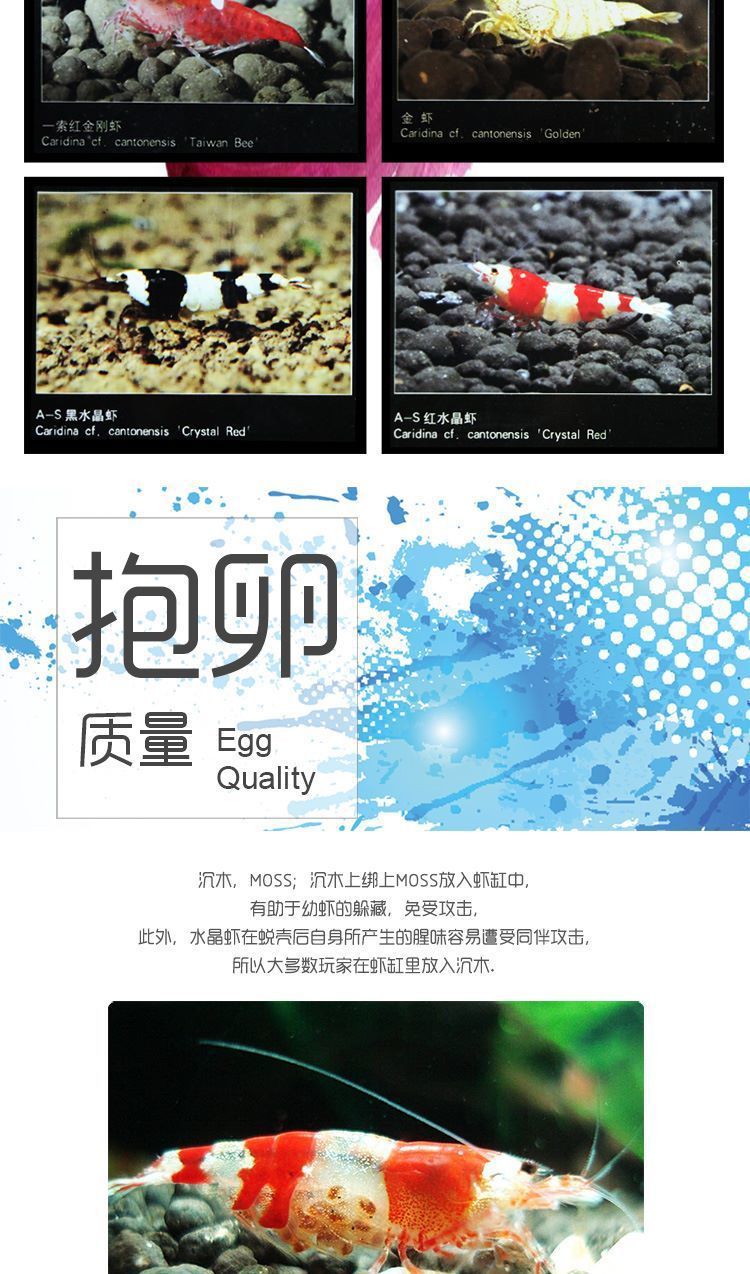 82412865-5ed5-4ca9-aaa9-5c6ab9d14363.jpe