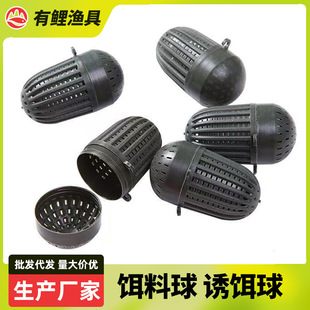 �T�D�� �~�D�� �D���� �������� �O�W�O���~�D �r�\