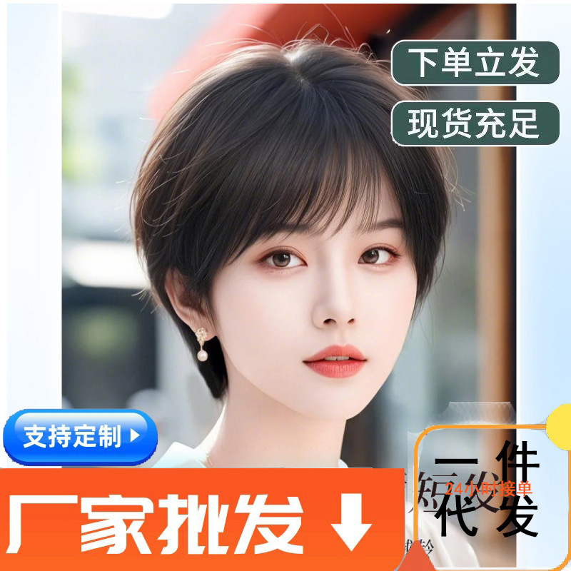 Full Head Wig for Women with Natural Real Hair, High-End Short Hair, Age-Reducing Fluffy Wig Set Full Head Wig for Women with Natural Real Hair, High-End Short Hair, Age-Reducing Fluffy Wig Set