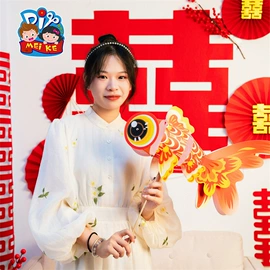 拼插类玩具;灯笼;其他益智玩具