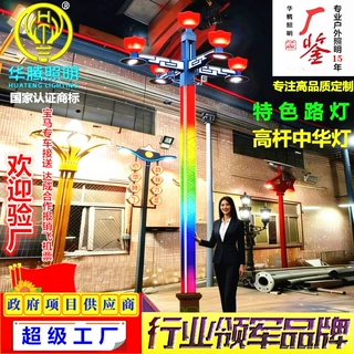 厂家定制特色路灯市政工程道路照明灯中山灯具昭苏县高杆中华灯