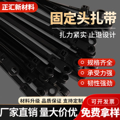 固定ヘッドナイロンケーブルタイプラスチックネジ穴丸穴セルフロックバックル結束黒と白の装飾工業用固定