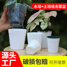 青山盆套盆厂家批发组合花盆 透气控根盆观叶植物塑料花盆水培盆