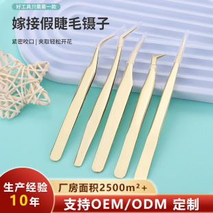Cross-Border Peacock Beak Clip Stainless Steel Grafted Eyelash Tweezers Customized False Eyelash Curler Eyelash Curling Eyelash Tweezers