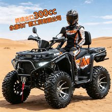 �羳�����¿�ԽҰɳ��܇300ccˮ������݆����Ħ��ɽ��ȫ����ATV
