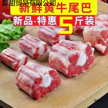 新鲜牛尾黄牛尾牛尾巴农家散养黄牛肉整根牛尾骨牛排骨牛尾汤
