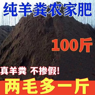 �l����S���ЙC���u�S�ʷN�˹���������B���u�����r��