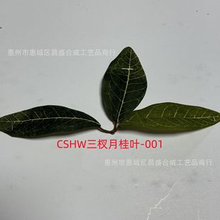 ���R�d�S�����l�����¹��~�zӡ�~�Gֲ���2025��ɫ����¹��~