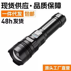 手电筒;头灯头戴电筒;提灯