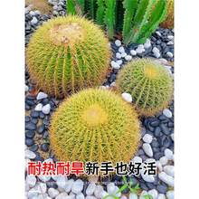 ������������k���҃��������������Դ�̖���ֲ�ﳬ���w���B