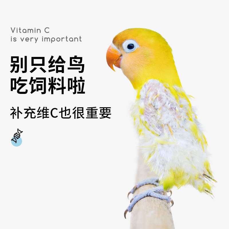 Parrot feeder Peony Xuanfeng Fruit Vegetable Bird Cage Accessories Ruoding Chicken Breeding Products Fruit Frozen Chicken Box Steel 3