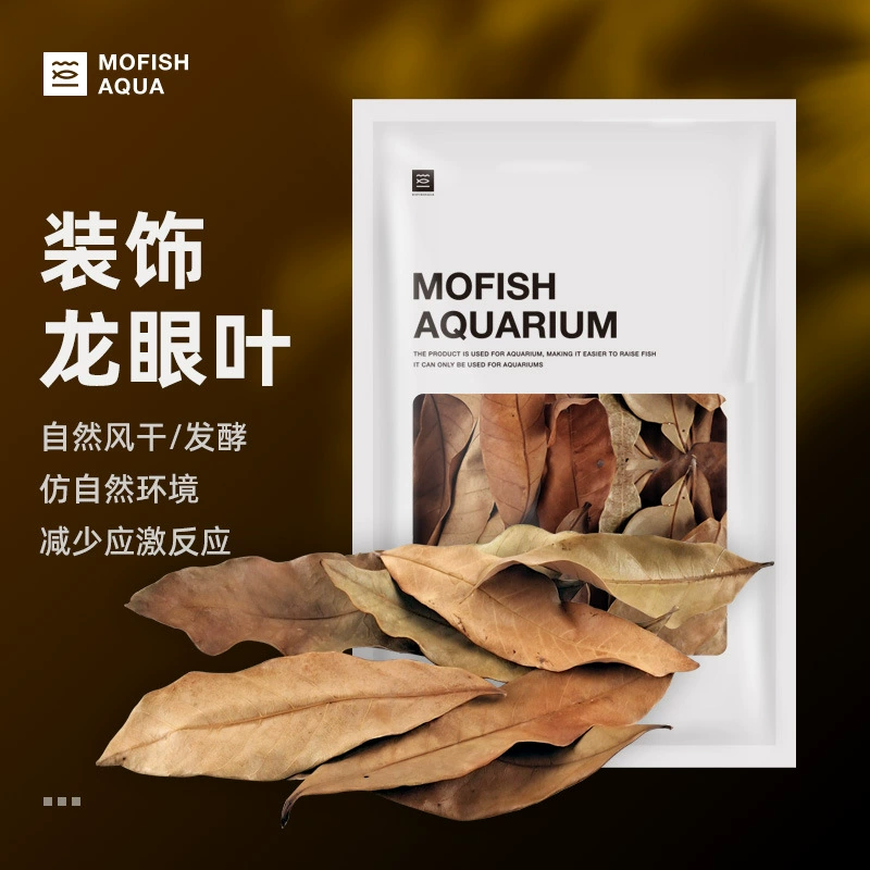 Каракатица Лонган лист черепахи банка оригинальная экологическая банка для черепахи ландшафтный дизайн украшения черепаха Регулировка аквариум Южноамериканская банка оригинальная банка ландшафтный дизайн