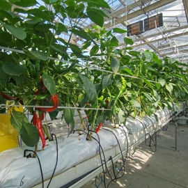 花盆容器;其他园林资材;种植包装