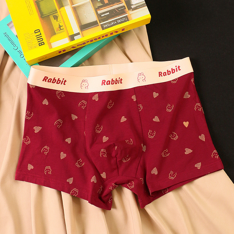 Caja de regalo, ropa interior, calzoncillos tipo bóxer para hombre, calzoncillos tipo bóxer de algodón puro, ropa interior de boda con estampado de conejo bonito, año animal