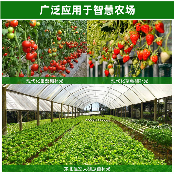 LED fill light