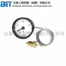 ��WIKA����ȫ���M��101.00ϵ���~�Ͻ𲨵ǹ܉����펧����ë����