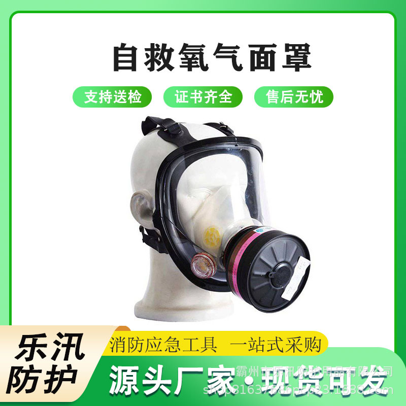消防救援全脸面罩碳纤维过滤式防护面具便携式氧气呼吸器面罩
