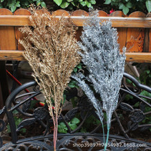 ��Ϲ��S���l����ǧ�ӽ��ɫ�������rǧ�ӽ��c���c�b���������