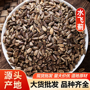 ˮ�w�E ˮ�w�����E����{��ș�� ���]��ĥ������ă�