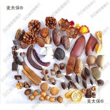 ɻb޻ɹ֦~ɏ׃@ֹh̫