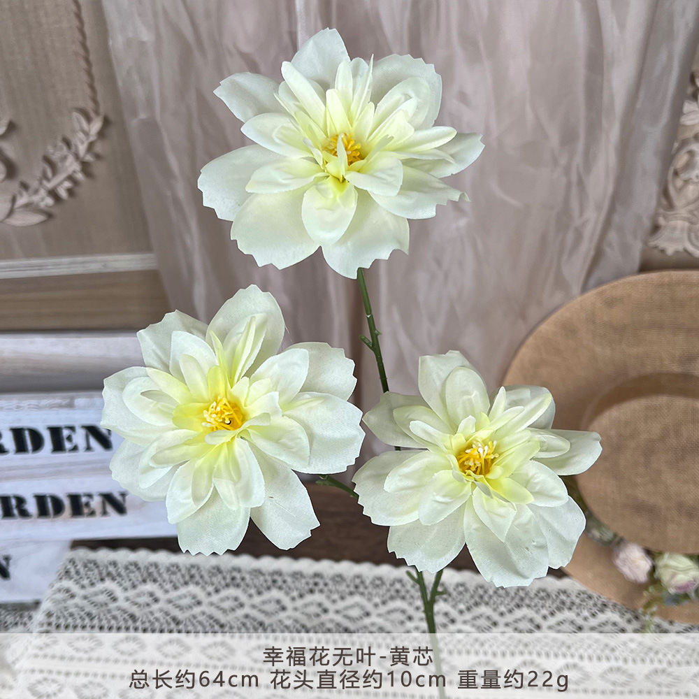ZYJ2-幸福花无叶-黄芯