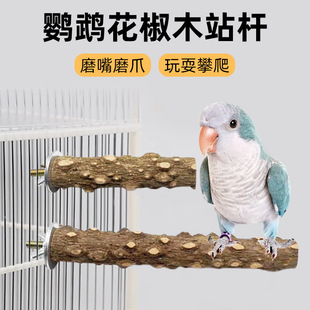 ��Ȼ����ľ�Bվ�U�˸绢Ƥ�W�^ĥצĥ���վ����վ���B�\������l