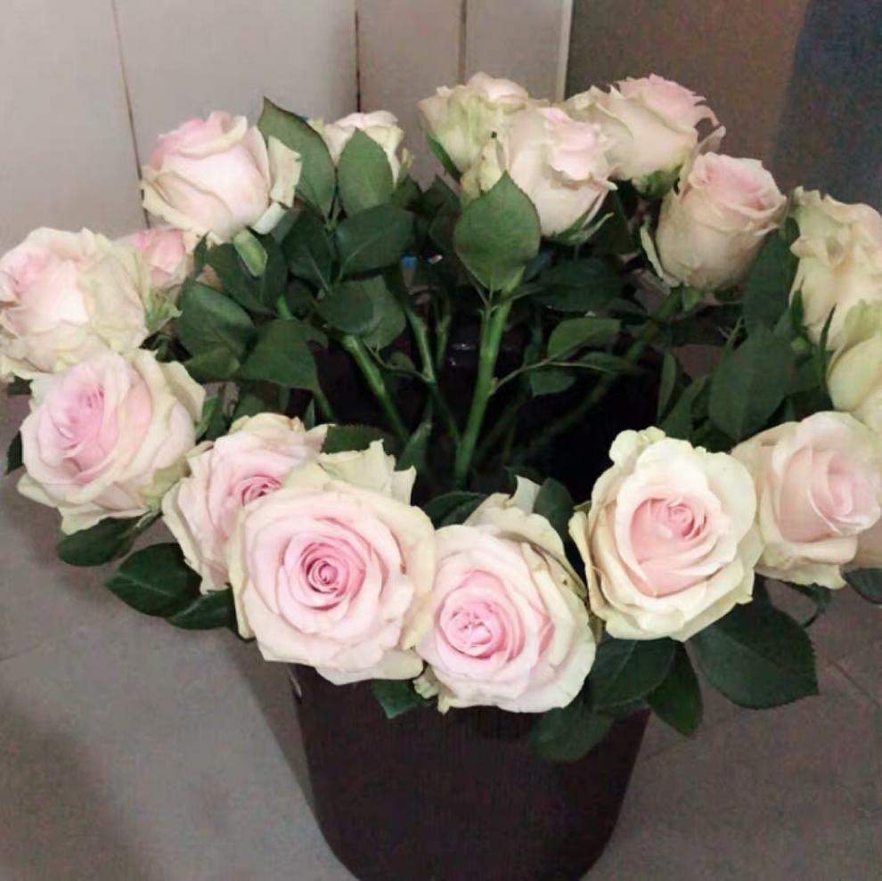 358eb629-57b5-4800-aee6-2dcb03800ef6.jpe